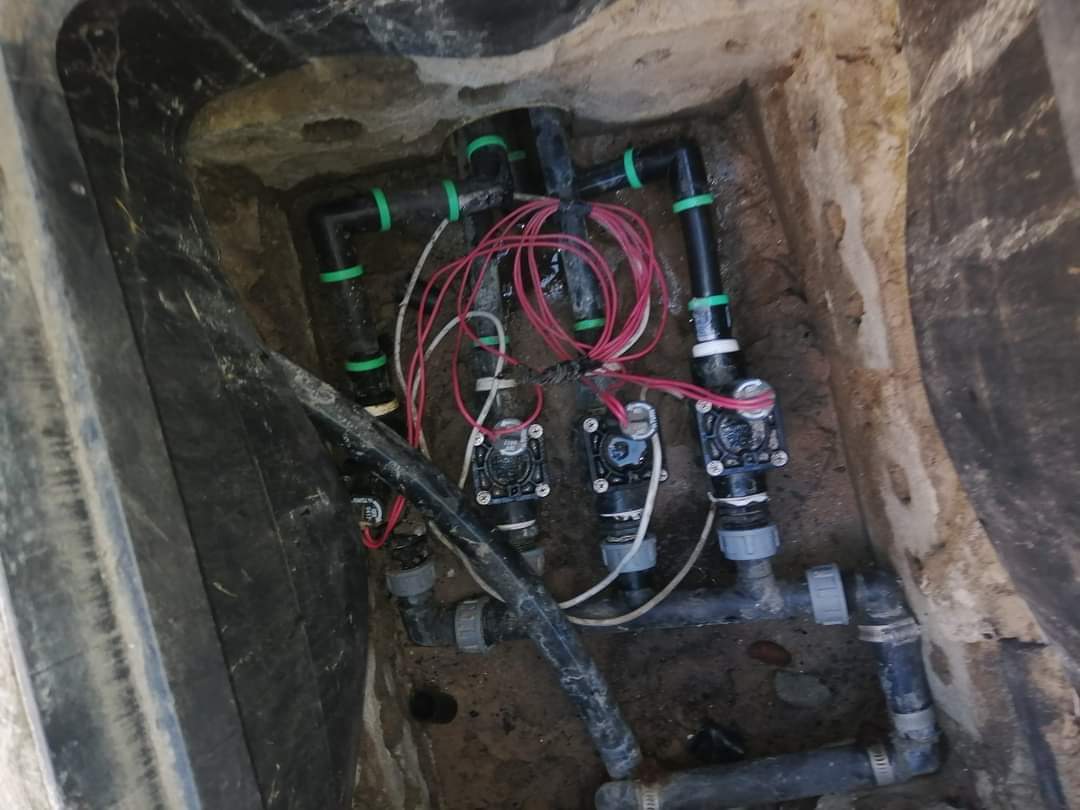 WhatsApp Image 2026-02-10 at 07.36.08